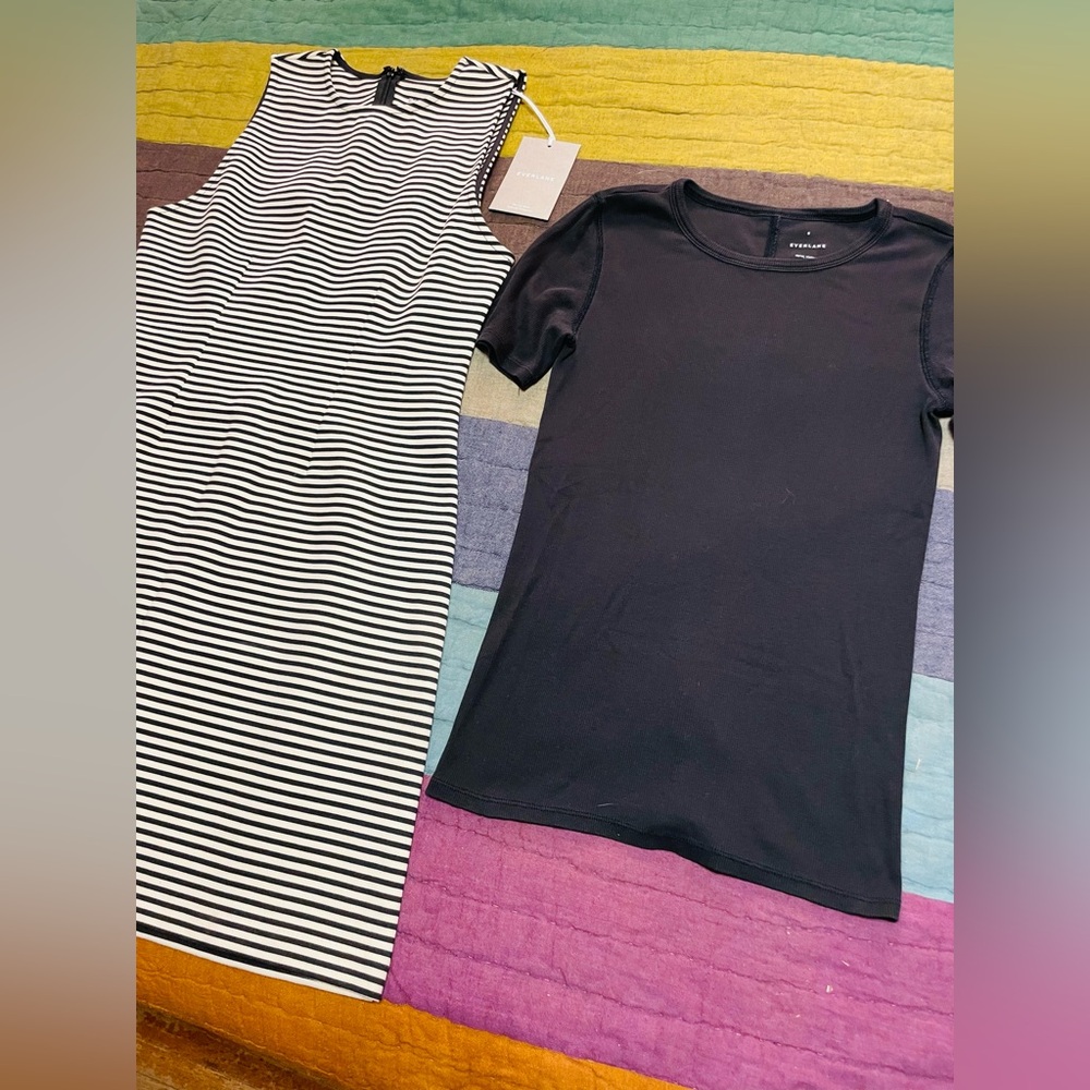 NWT, Everlane B/W Striped Shift Dress and Black Everlane Ribbed Tshirt, Size S - Picture 9 of 15